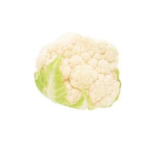 product-02